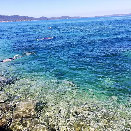Joy Sveti Petar (Zadar)